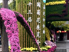 -汇龙潭