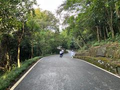 -广州白江湖森林公园