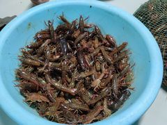 -陈家镇裕安农贸市场