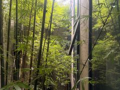 -湖南大学-中国书院博物馆