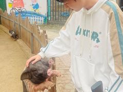 -保定市动物园