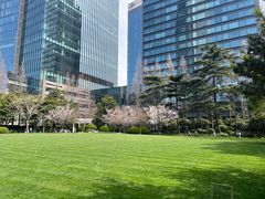 -静安公园(静安寺街道)
