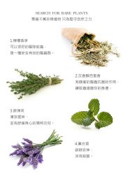 -悦荟YUET SPA