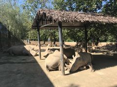 -西安秦岭野生动物园