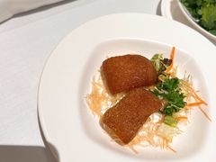 -新同乐鱼翅酒家(美丽华店)