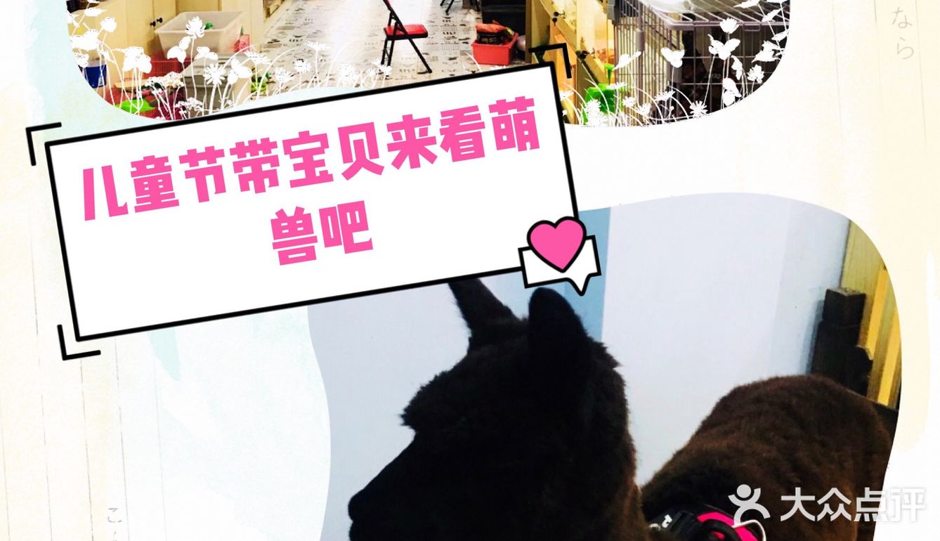 到萌兽派带你的小朋友过儿童节吧