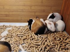 -三旗百汇商品城