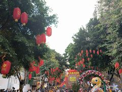 -越秀西湖花市(广州城市广场花卉店)