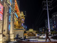 -万里闯关东铁锅炖菜馆(高新旗舰店)