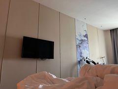 -苏州金鸡湖文博诺富特酒店