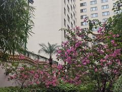 -广州中国大酒店