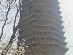-玲珑塔公园