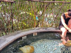 -丰泰花园酒店热矿泉