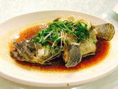 -华兴大酒楼(亿宝大厦店)