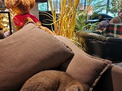 -咖法森林·咖啡  酒吧(天河店)