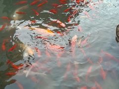 -活水公园
