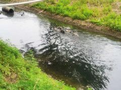 -北京拉斐特城堡酒店