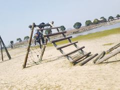 -上海都市菜园