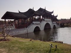 -上海海湾国家森林公园