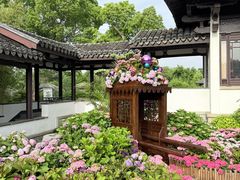 -无锡蠡湖国家湿地公园-蠡园