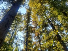 -南京金牛湖风景区