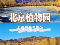-国家植物园