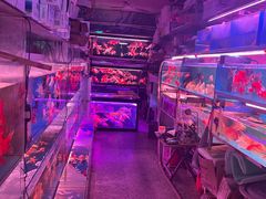 -宝鸡东道花鸟鱼虫市场(吉利花园商场店)
