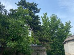 -阳台山自然风景区