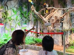-正佳雨林生态植物园