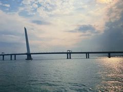 -深圳湾公园(南山区)