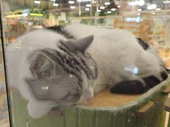 -万达广场(槐房店)