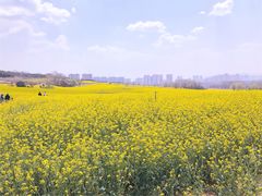 -西海岸生态观光园