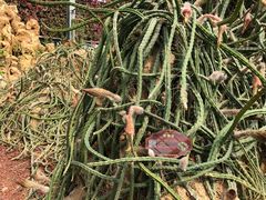 -南通洲际绿博园