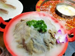 -矮板凳老火锅(宽窄巷子店)