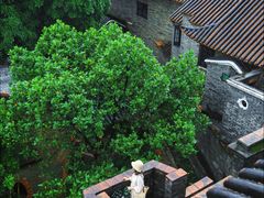 -东莞市可园博物馆