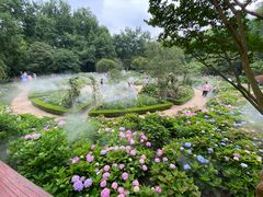 -上海共青森林公园