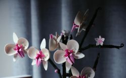 -乐高授权专卖店(新北万达店)