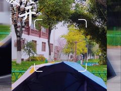 -堤角公园