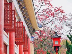 -广州中山纪念堂