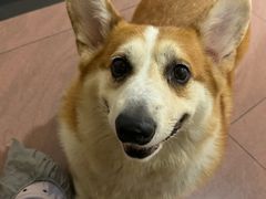 -喵小馆·猫咖狗咖猪咖·饮品店