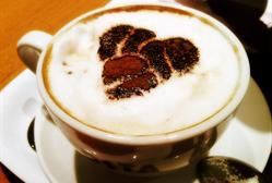 -COSTA COFFEE(新地中心店)