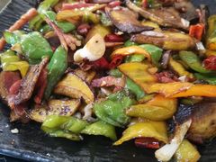 -蘑统田下·野生菌火锅