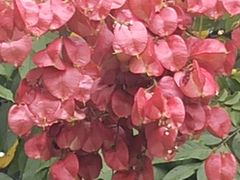 -杭州城北体育公园