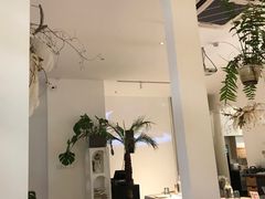 大堂-春树下·树屋花房西餐厅(罍街AS1980店)