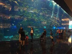 -成都浩海立方海洋公园