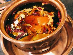 -镇江龙·火锅串串(武侯祠店)