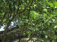 -丝绸小镇荻港古村