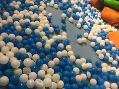 -石家庄海洋公园