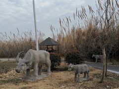-泗洪洪泽湖湿地景区