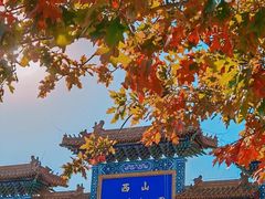 -北京西山国家森林公园